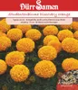 Artikelbild 1 von 'Studentenblume Discovery orange' aus der Kategorie Studentenblumensamen Produktbild-Vorschau