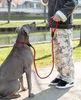 guinzaglio per cani da riporto lionto, sicuro, elegante e Anteprima dell’immagine prodotto 2