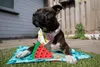 Nobby Kühlmatte Flower Hundekühlmatte XL 105cm x 90 cm Produktbild-Vorschau 3