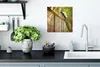 MuchoWow® Poster Pfau - Federn - Zaun 30x30 cm - Wandposter Produktbild-Vorschau 3