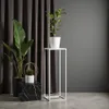 FRAMADO, Pflanzenständer Ferro, Metallregal, Blumenständer, Produktbild-Vorschau 6