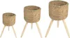Three woven plant stands of varying sizes are displayed against a white background. Produktbild-Vorschau
