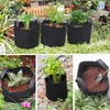 Pflanzsack 2X 20L aus Vliesstoff, Pflanztopf Pflanzensack Produktbild-Vorschau 6