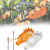 Cueilleur de fruits pour cueillir les pommes les poires les Voir les images du produit 6