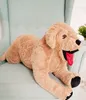 Gustaw Golden Retriever Teddybär Groß XXL (beige, 75cm) - Produktbild-Vorschau 3