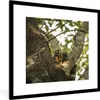 MuchoWow® Gerahmtes Poster Kleine Tiere in einem Baum 40x40 Produktbild-Vorschau 1