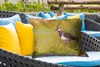 MuchoWow® Outdoor Kissen - Vogel - Gras - Natur - Tiere - Produktbild-Vorschau 4