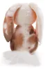 Nici Hase Kind Teddybär 20 Cm 6 Cm Beige  Kinder Beige One Produktbild-Vorschau 3