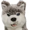 Carl Dick Husky sitzend ca. 19cm 2887 Kuscheltier, Produktbild-Vorschau 7