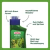 Substral Thuja-Vital Conifers Green - Koncentrované kapalné Náhled obrázku produktu 2