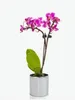 KOTARBAU® Keramik-Blumentopf Zylinder Weiß Silber Produktbild-Vorschau 4