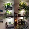 LED Pflanzenlampe Vollspektrum 3 Lichtmodi Dimmbar Produktbild-Vorschau 10