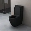 doporro WC à Poser Céramique Noir Mat Toilette avec Voir les images du produit 2
