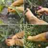 Lange Gartenhandschuhe für Damen, Arm- und Ellbogenschutz, Produktbild-Vorschau 2