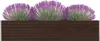 Lit surélevé de jardin Acier galvanisé 320×40×45 cm Brun Voir les images du produit 12