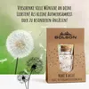 Wunscherfüller Pusteblume | echte Pusteblumen Schirmchen im Produktbild-Vorschau 6