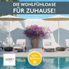 A poolside scene with lounge chairs, umbrellas, and a large potted plant, suggesting a relaxing outdoor environment. Produktbild-Vorschau
