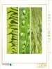 Calvendo Natural Trios - Grüne Blätter 1000 Teile Puzzle Produktbild-Vorschau 4