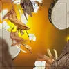 Catalytic Lamp Refill Enchanting Sandalwood (Lampe Voir les images du produit 2