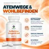 MedFuture Lungenkraut 500mg 60 Kapseln Produktbild-Vorschau 8