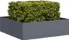 vidaXL květináč antracit 100x100x30 cm ocelový Náhled obrázku produktu 2