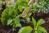 Gardena Reihentropfer regulierbar Produktbild-Vorschau 13