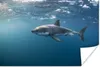 MuchoWow® Poster Hai an der Oberfläche 120x80 cm - Bilder Produktbild-Vorschau 2