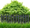 Gartenzaun Steckzaun 3m - Höhe 30 cm - Rasenkante Produktbild-Vorschau 2