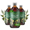 Olivovník Tekuté Hnojivo 3x1 L – 2-1-8 NPK – Pro Olivovníky Náhled obrázku produktu 1