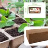 Kokosfaserhumus 24x650 g – ergibt ca. 216 L Blumenerde – Produktbild-Vorschau 3