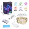 LED Kupferdraht String Smart Lichterkette Regenbogen RGB Produktbild-Vorschau 6