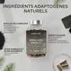 Gélules de shilajit Aavalabs | 50 % d'acide fulvique | Voir les images du produit 6