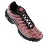 Nike Air Max Plus TN 1 - Euro Tour - Herren Schuhe Produktbild-Vorschau 7