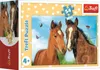 TREFL Display Puzzle Niedliche Tiere 54 Teile (40 Stück) Produktbild-Vorschau 5