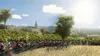 Tour de France 2018 - Xbox One Náhled obrázku produktu 3