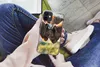 MuchoWow® Handyhülle Schutzhülle Hülle für iPhone 12 mini Produktbild-Vorschau 3