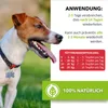 Saint Nutrition® Zeckenix Liquid – zum Schutz vor Produktbild-Vorschau 3