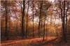 ARTland Wandbild Alu für Innen & Outdoor Sonnenaufgang im Produktbild-Vorschau 1
