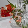 LED Drahtlichterkette Schmetterling - 12 warmweiße LED - Produktbild-Vorschau 1