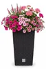 BigDean Prosperplast Rattan Blumentopf 26,6 L Anthrazit Produktbild-Vorschau 17