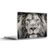 MuchoWow® Laptop Aufkleber Sticker Cover Löwe - Wild - Produktbild-Vorschau 1
