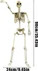 Halloween Skelett – Realistische Wetterfestes Knochengerüst Produktbild-Vorschau 2