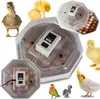 Kruger Meier ProLexor 60 - inkubator z termostatem na 60 Podgląd zdjęcia produktu 10
