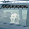 Auto Fenstergitter Lüftungsgitter Hund Frischluftgitter Produktbild-Vorschau 3