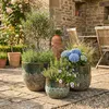 A collection of decorative planters with various plants on a stone patio. Produktbild-Vorschau