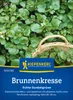 Artikelbild 2 von 'Brunnenkresse Echte Dunkelgrüne' aus der Kategorie Kressesamen Produktbild-Vorschau