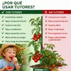 Tutor para plantas Garden KBT 600/6-8 mm, bambú, paquete de Vista previa de la imagen del producto 4