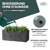 XL Pflanzkasten „Millennium“ 59x25x23 cm - 23L Volumen - Produktbild-Vorschau 6