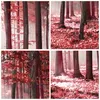 Bilder auf glas - Einteilig - Wald Rot Bäume - 60x60cm - Produktbild-Vorschau 8
