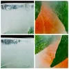 Bild auf Leinwand - Leinwandbild - Gefroren frucht dessert Produktbild-Vorschau 8